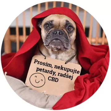 Účinky CBD na zvieratá: Ako pomôže vášmu maznáčikovi?