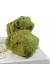 CBD MoonRock 40% CBDsvět