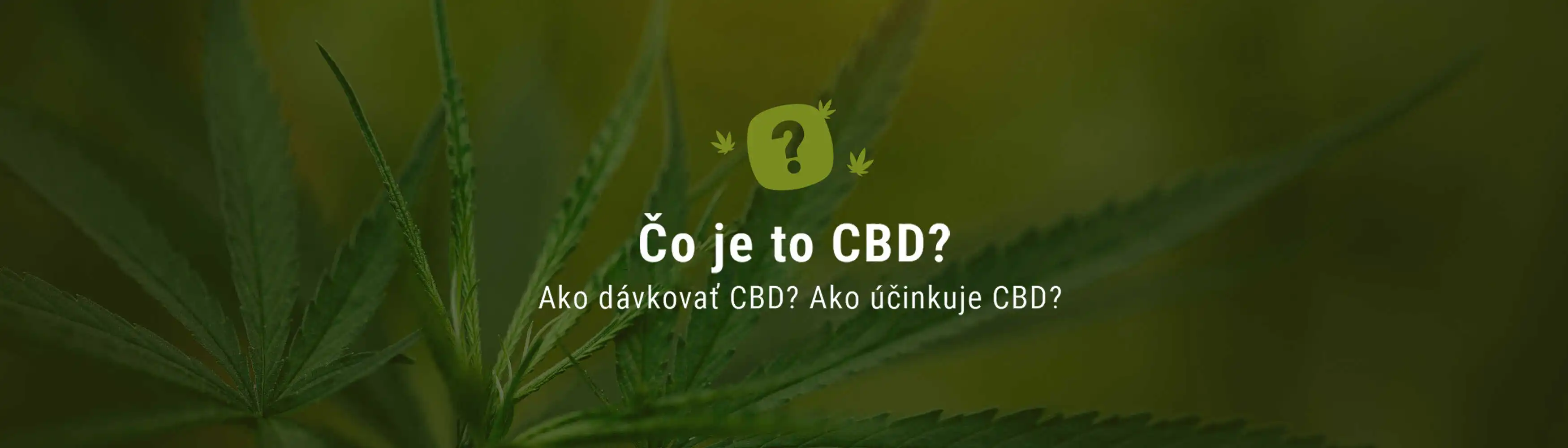 Čo je to CBD?
