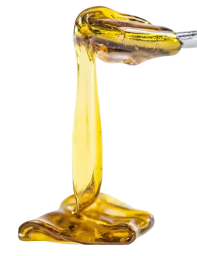 CBD extrakty novinka