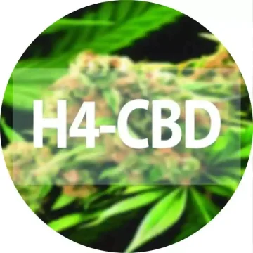 H4CBD, čo to je?