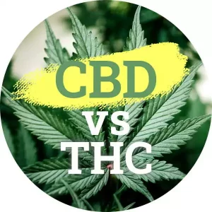 CBD vs THC: Aký je medzi nimi rozdiel?