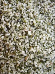 Konopné semienko lúpané BIO 500 g Zelená Země Konopné semienko lúpané BIO 500 g Zelená Země