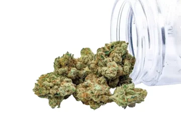 CBD kvety