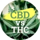 CBD vs THC: Aký je medzi nimi rozdiel?
