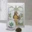 CBD MoonRock 40% CBDsvět