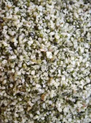 Konopné semienko lúpané BIO 500 g Zelená Země Konopné semienko lúpané BIO 500 g Zelená Země